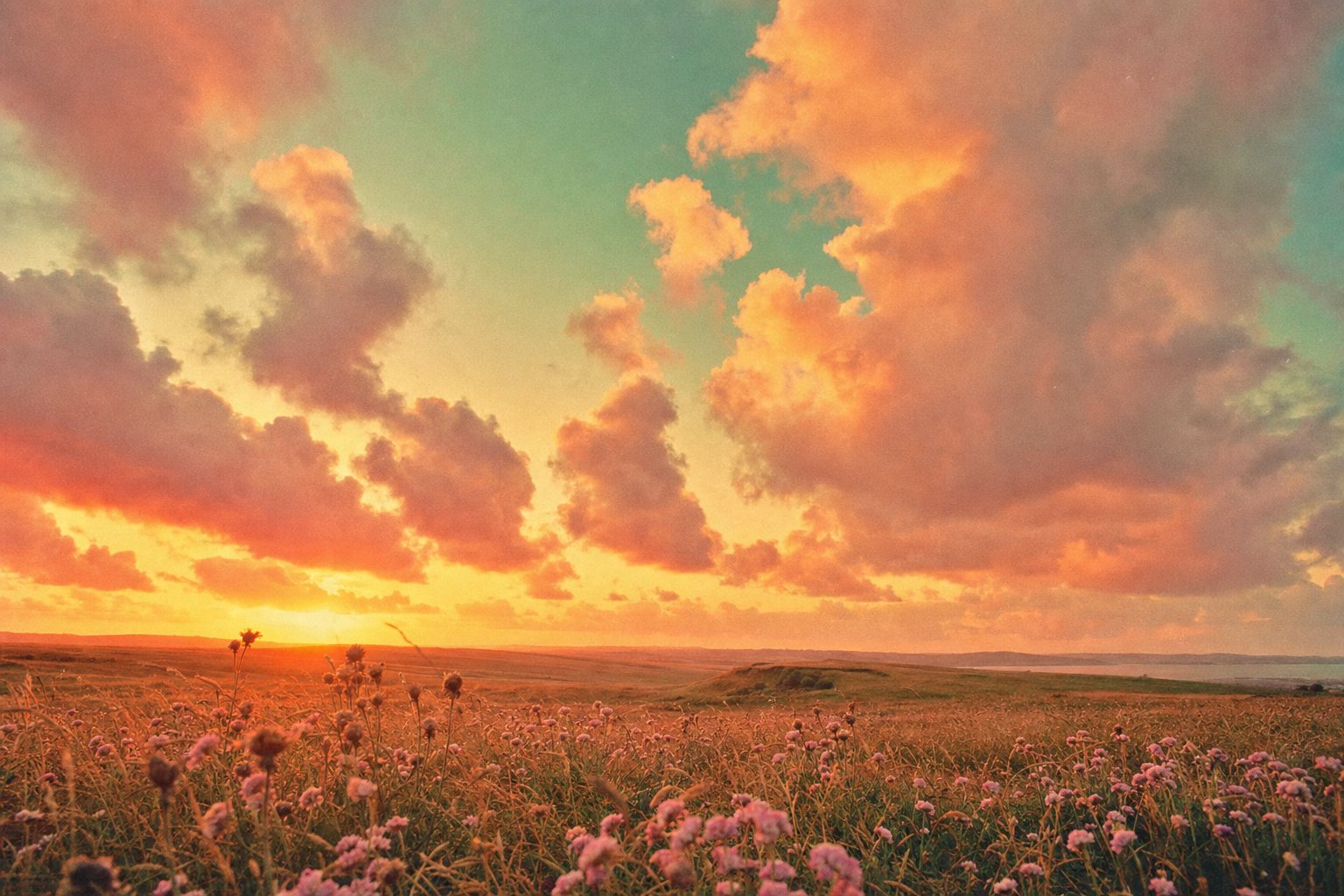 Clouds lit deep orange and rose just after sunset over a meadow